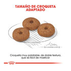 Royal Canin Adult 12+ Mini ração para cães  , , large image number null
